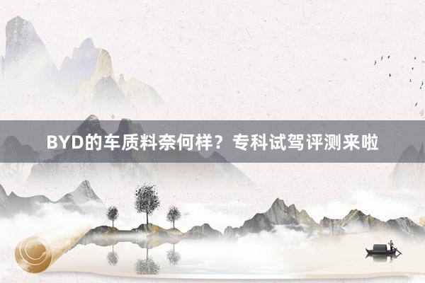 BYD的车质料奈何样？专科试驾评测来啦